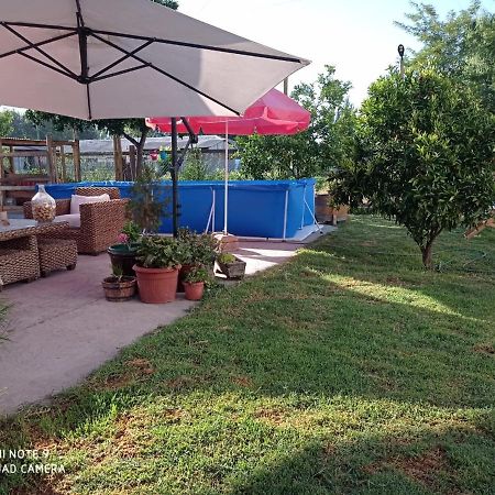 شقة Cabana Corazon De Colchagua Sta Cruz Nancagua  المظهر الخارجي الصورة